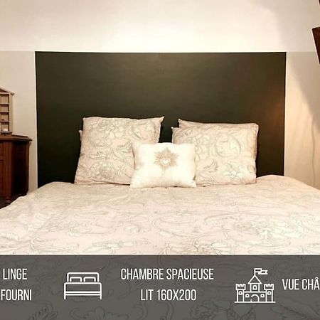 Grand Appartement Place Saint-Pierre, Proche Chateau De Saumur Et Bord De Loire" Exterior foto