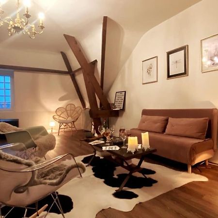Grand Appartement Place Saint-Pierre, Proche Chateau De Saumur Et Bord De Loire" Exterior foto