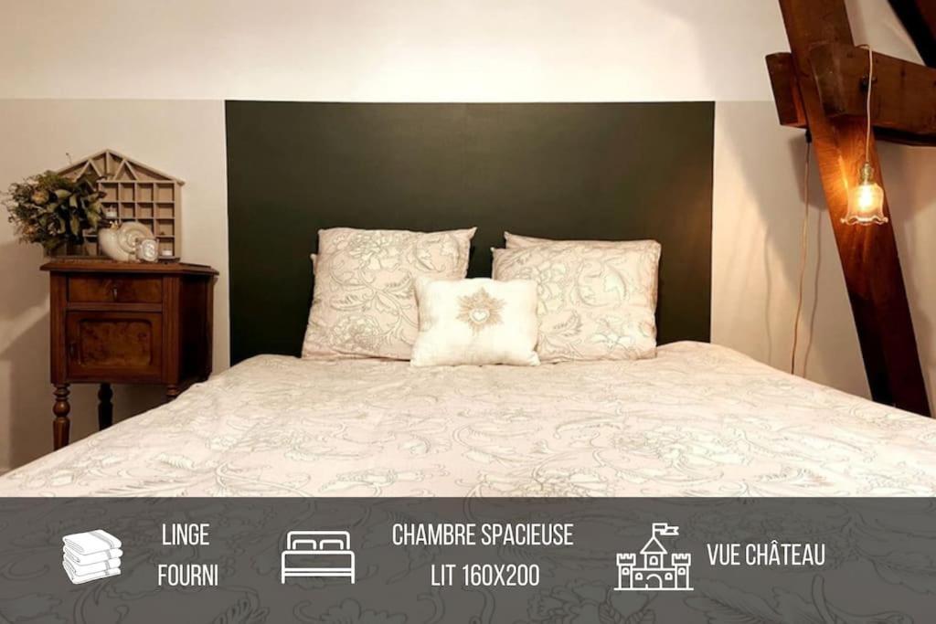 Grand Appartement Place Saint-Pierre, Proche Chateau De Saumur Et Bord De Loire" Exterior foto
